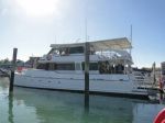 20100808-Australia-HerveyBay-WhaleWatching-1.jpg