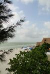 20100504-Mexiko-Celestun.jpg