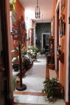20100510-Mexiko-Merida-1.jpg