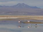 20100619-Chile-LagunaChaxa-58.jpg