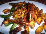 20101120-Thailand-KohChang-Saigars-Bungalows-4.jpg