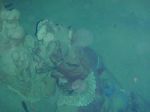 20100426-Mexiko-Tulum-CenoteCaracol-9.jpg
